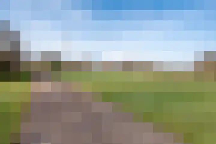Vogelwikke 16 Elburg thumbnail 60