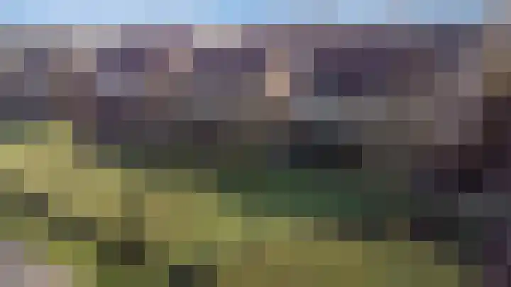 Vogelwikke 16 Elburg thumbnail 61