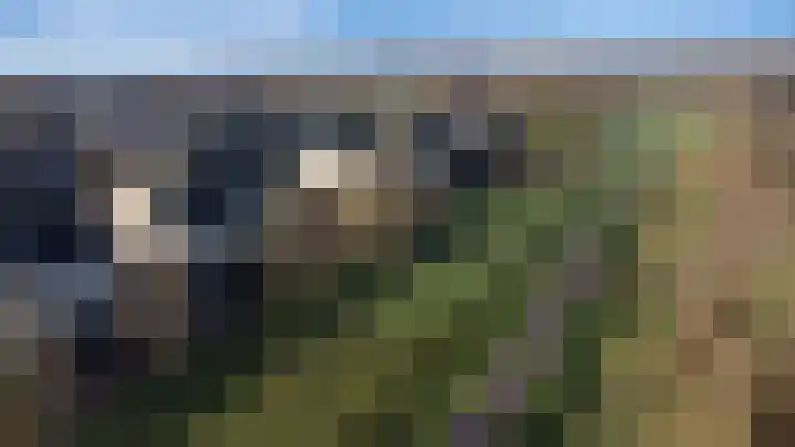 Vogelwikke 16 Elburg thumbnail 62