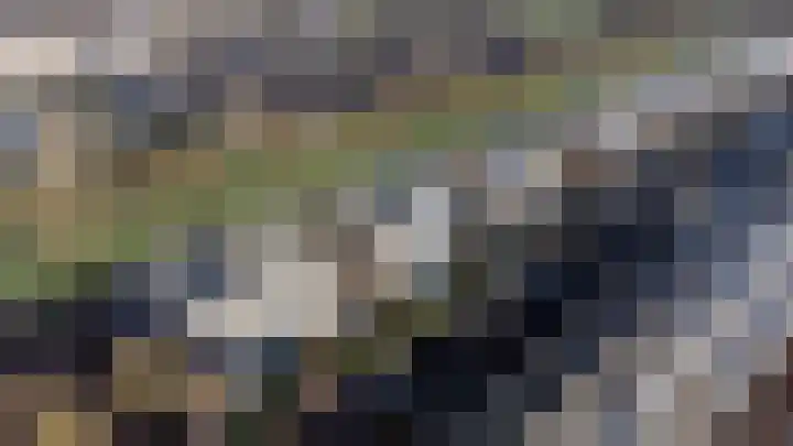 Vogelwikke 16 Elburg thumbnail 8