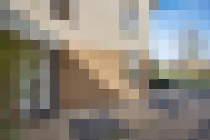 Vogelwikke 16 Elburg thumbnail 9