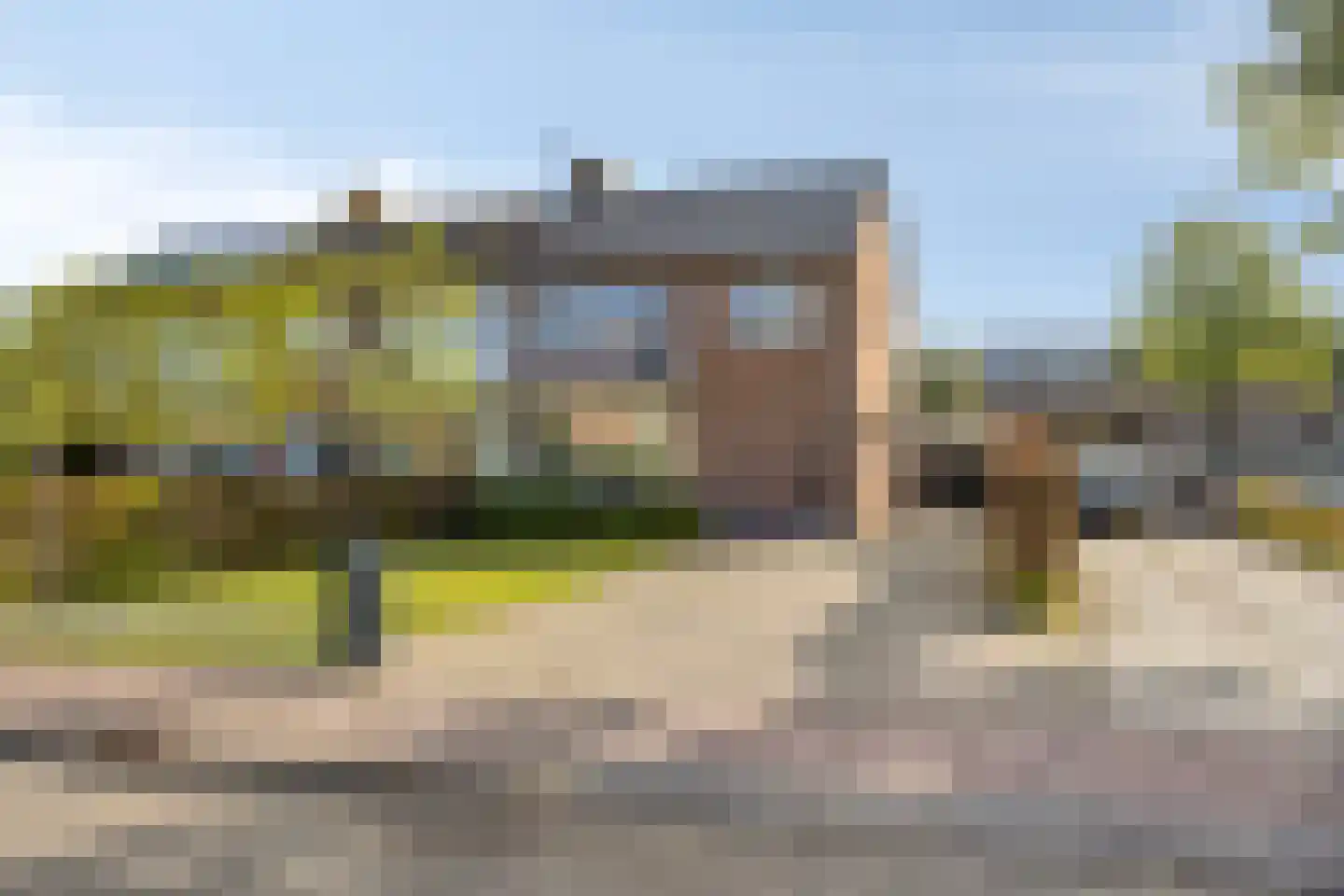 Vogelwikke 2 Emmen