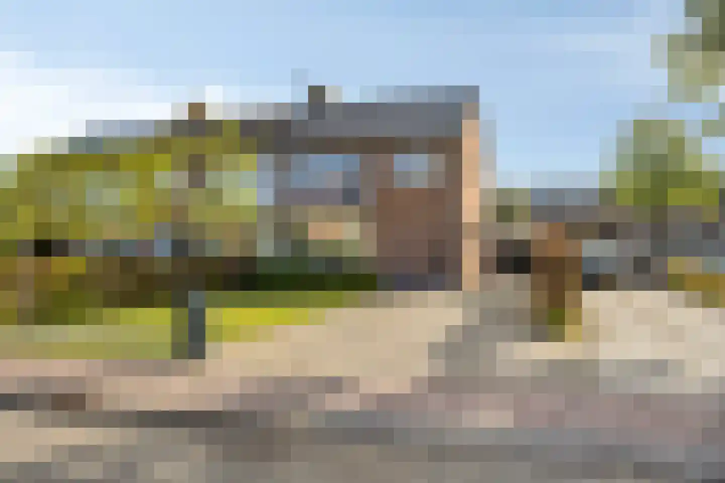 Vogelwikke 2 Emmen