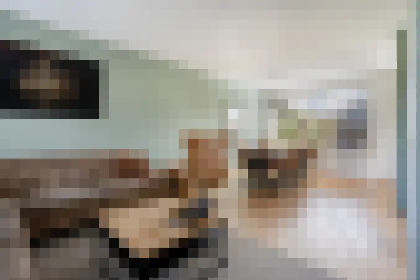 Vogelwikke 2 Emmen thumbnail 10