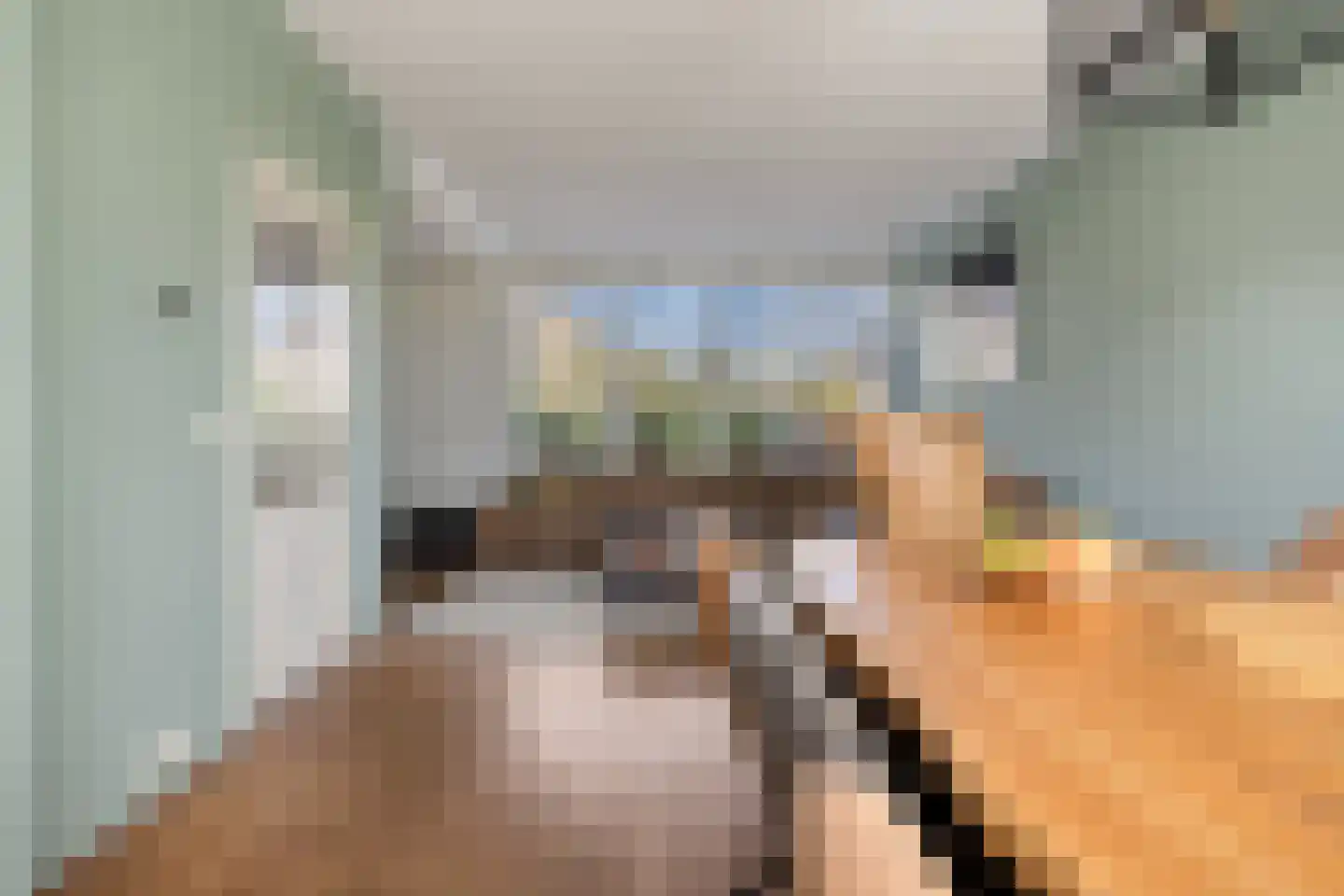 Vogelwikke 2 Emmen thumbnail 13