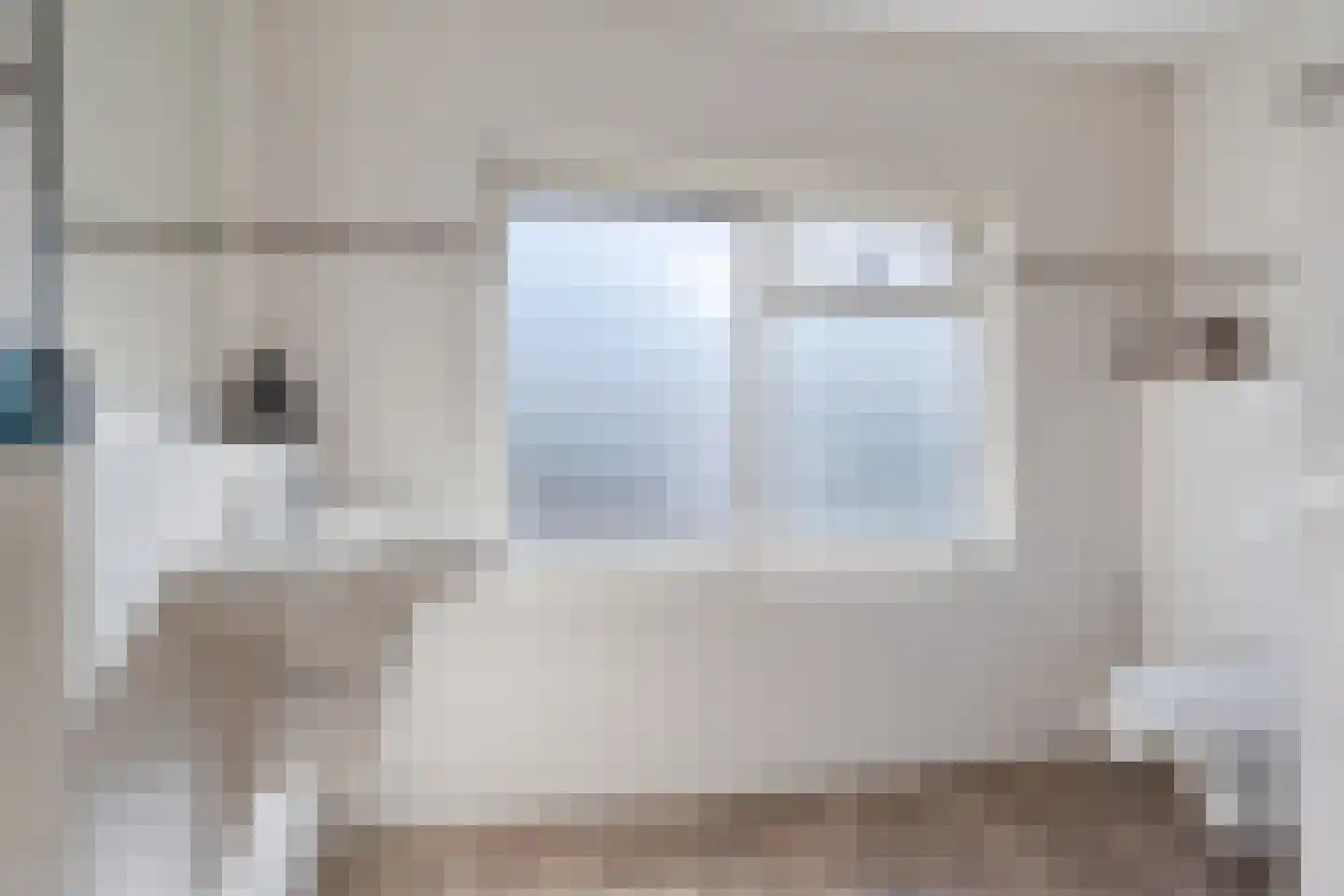 Vogelwikke 2 Emmen thumbnail 20