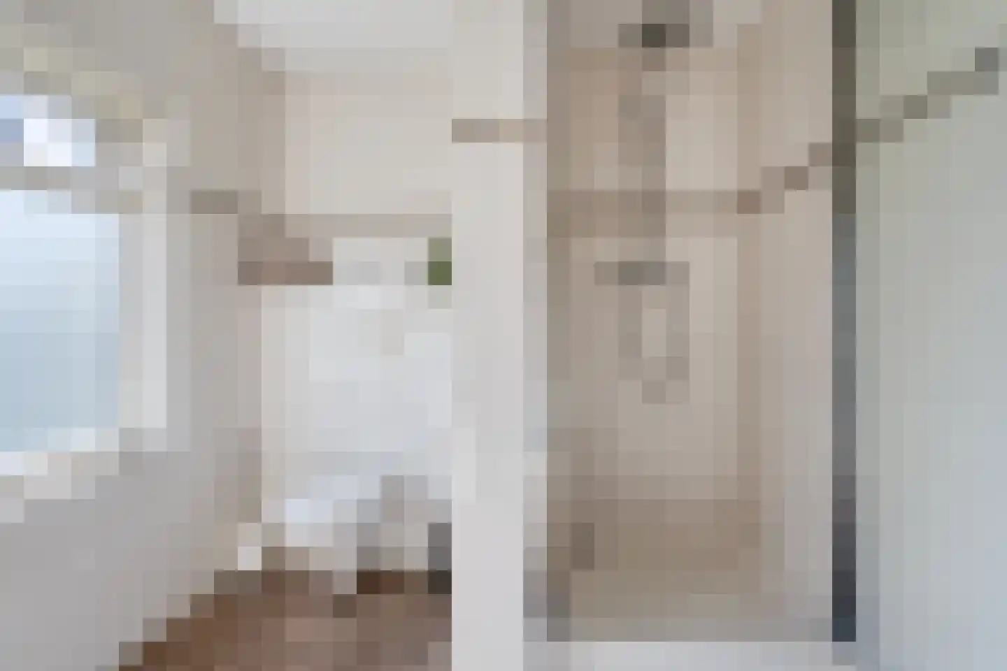 Vogelwikke 2 Emmen thumbnail 22