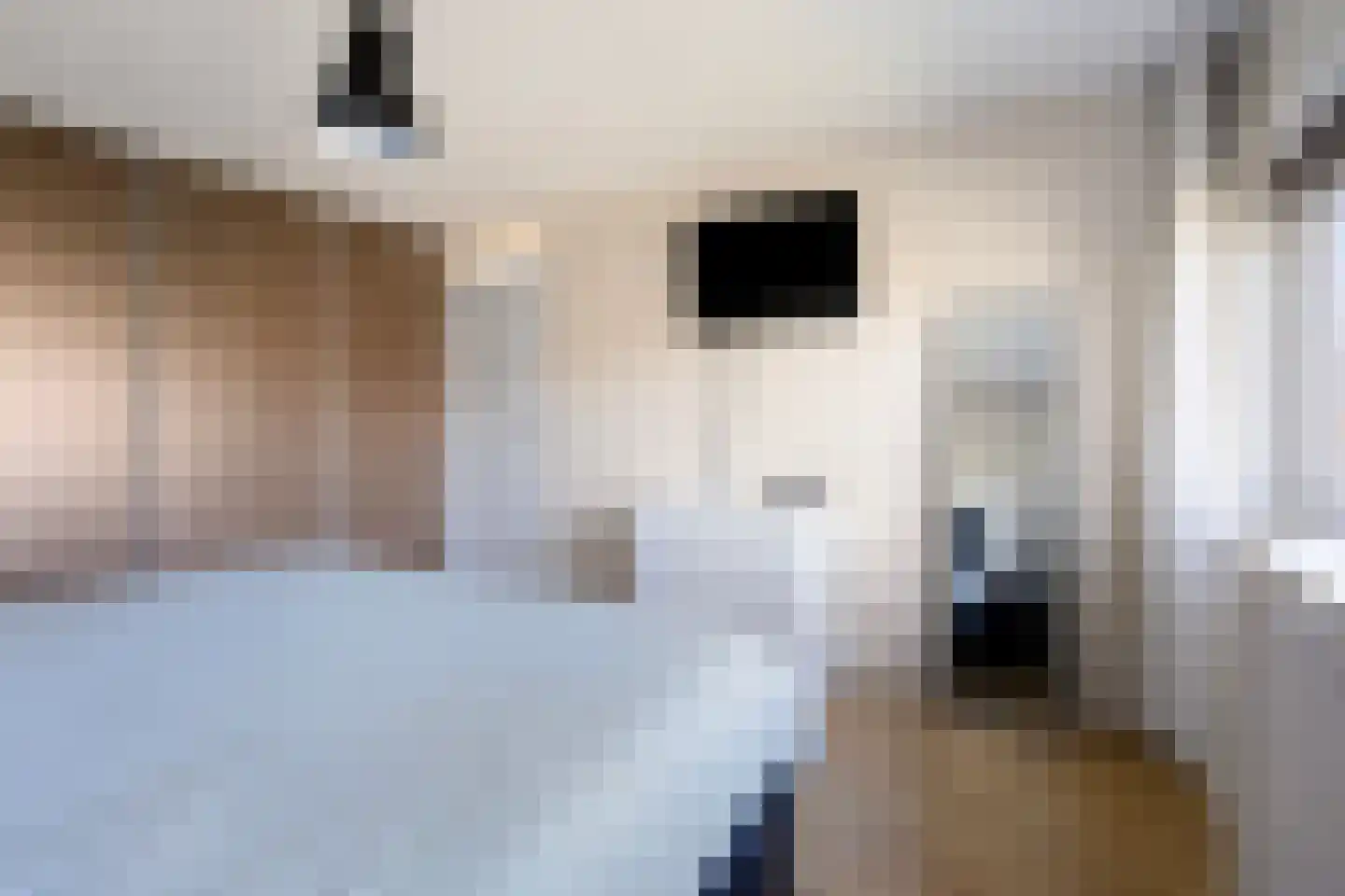 Vogelwikke 2 Emmen thumbnail 25
