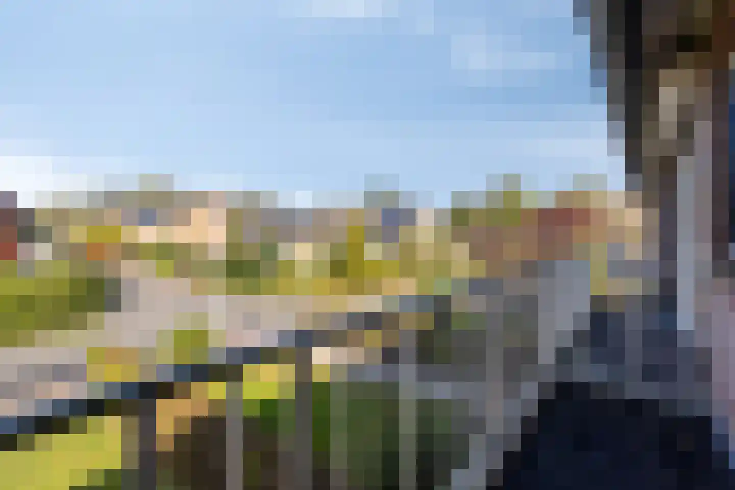 Vogelwikke 2 Emmen thumbnail 26
