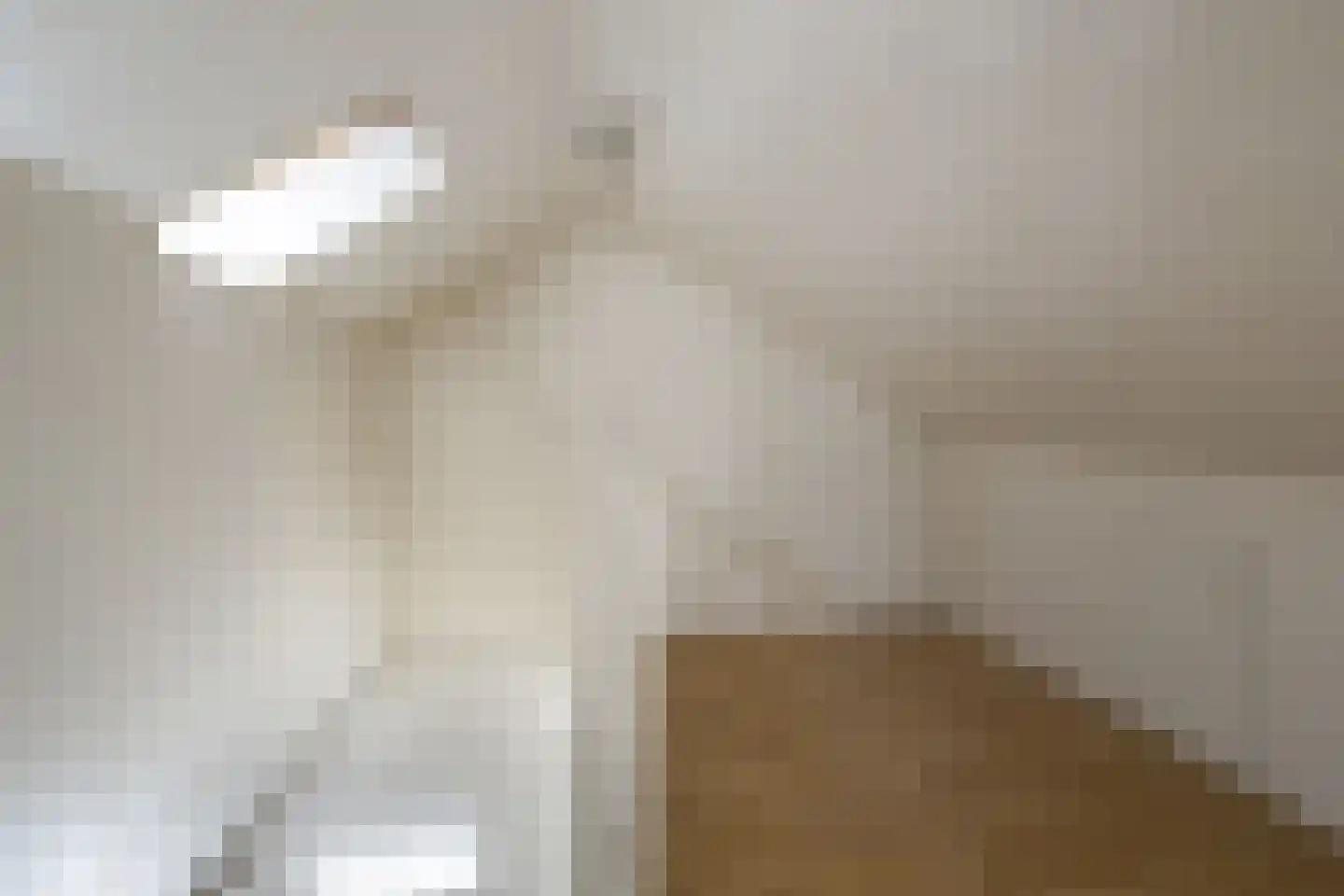 Vogelwikke 2 Emmen thumbnail 31