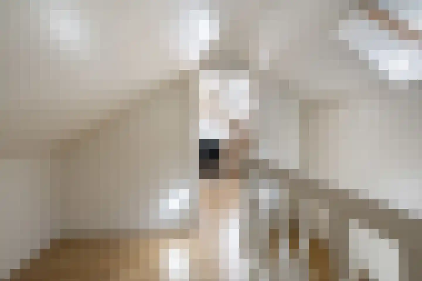 Vogelwikke 2 Emmen thumbnail 32