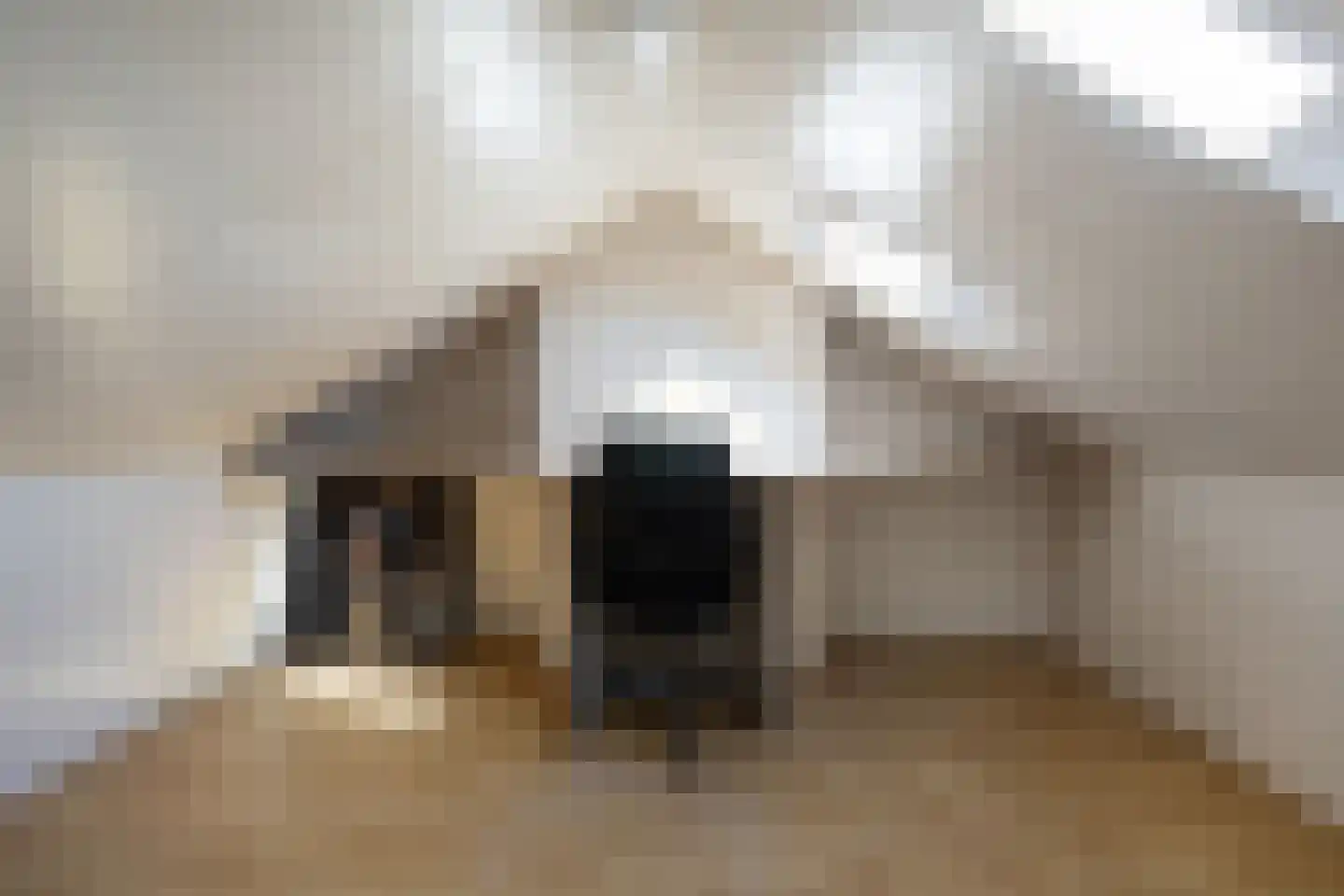 Vogelwikke 2 Emmen thumbnail 33
