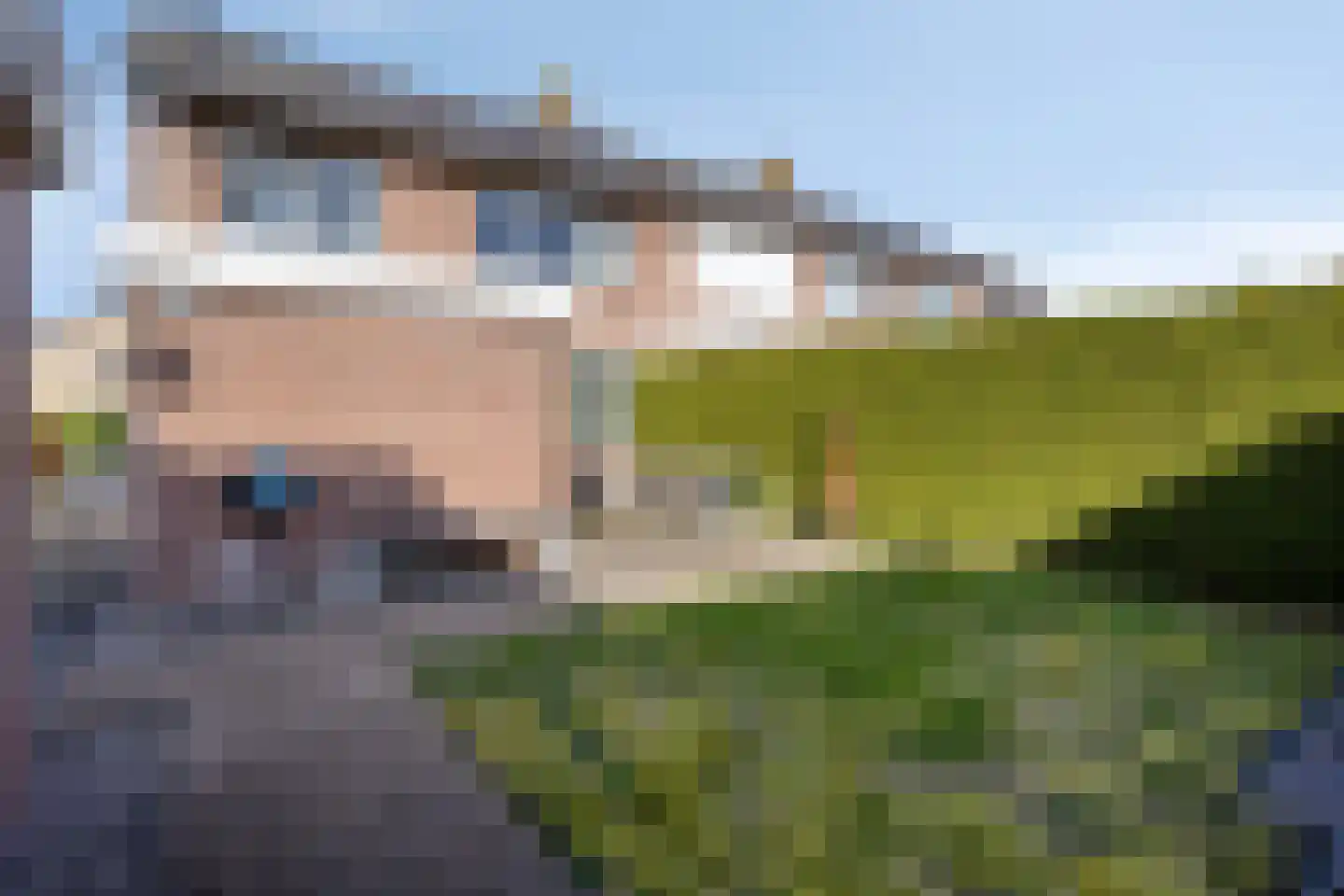 Vogelwikke 2 Emmen thumbnail 35