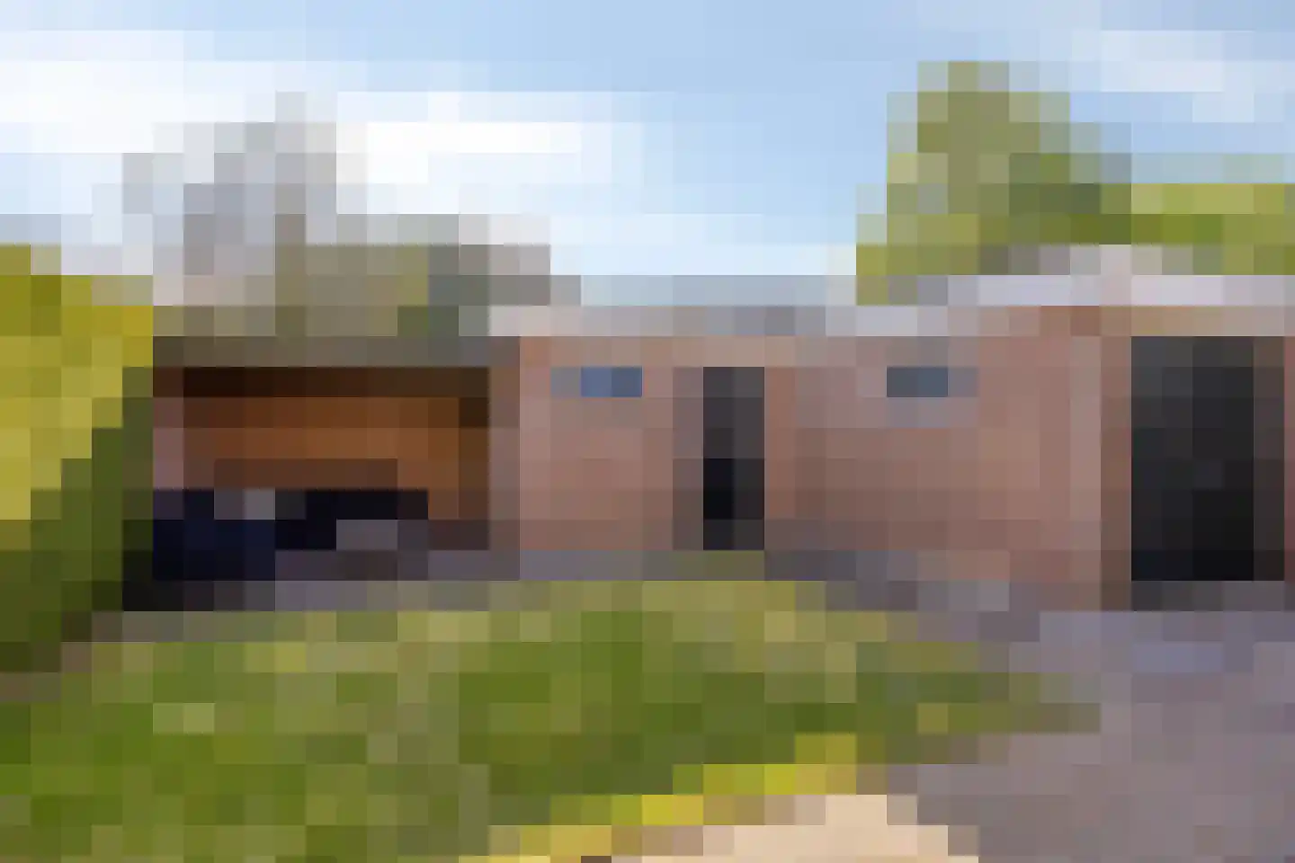 Vogelwikke 2 Emmen thumbnail 37