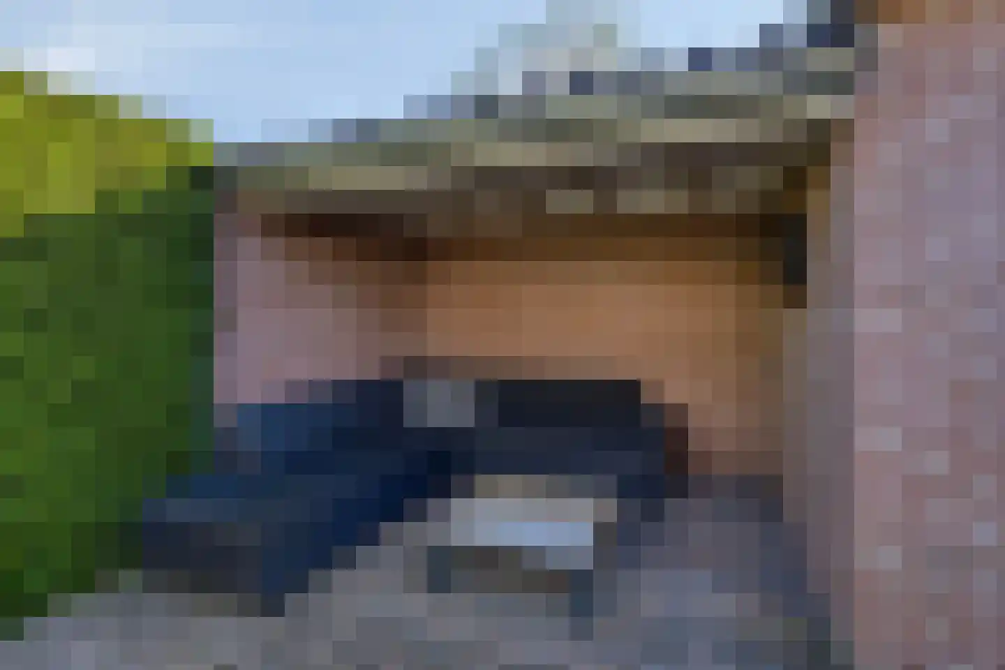 Vogelwikke 2 Emmen thumbnail 38
