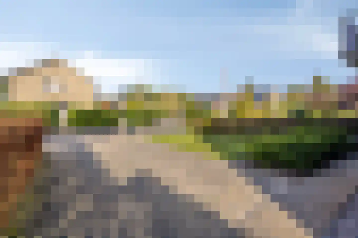 Vogelwikke 2 Emmen thumbnail 39