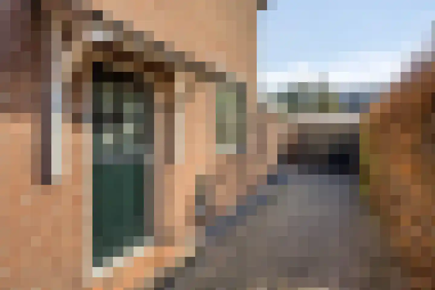 Vogelwikke 2 Emmen thumbnail 4