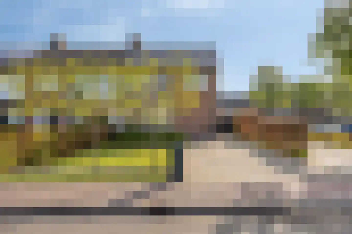 Vogelwikke 2 Emmen thumbnail 40