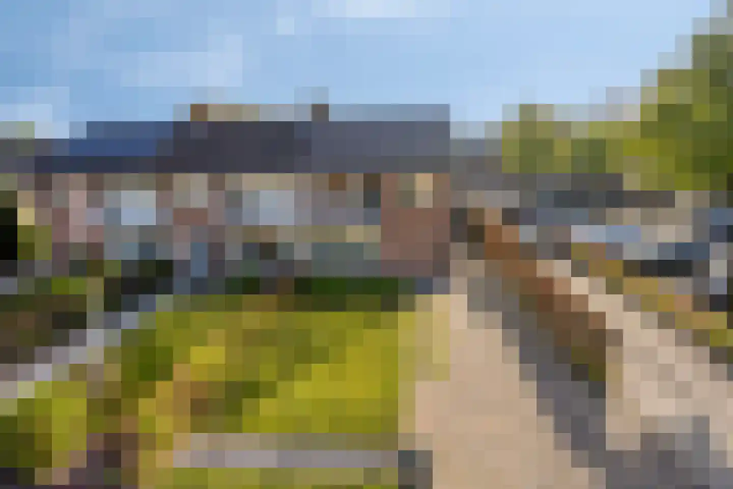 Vogelwikke 2 Emmen thumbnail 41