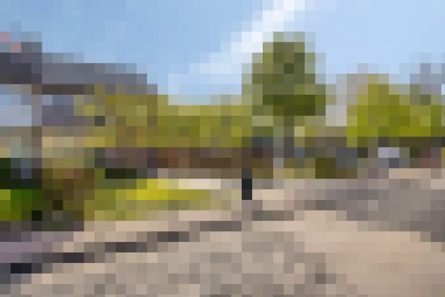 Vogelwikke 2 Emmen thumbnail 42