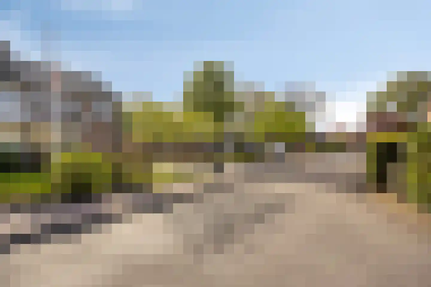 Vogelwikke 2 Emmen thumbnail 43