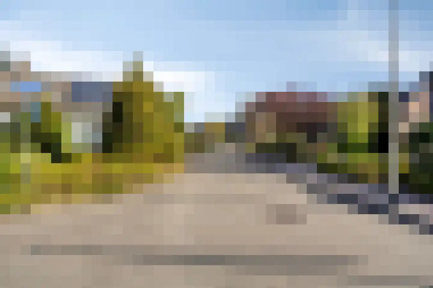 Vogelwikke 2 Emmen thumbnail 44