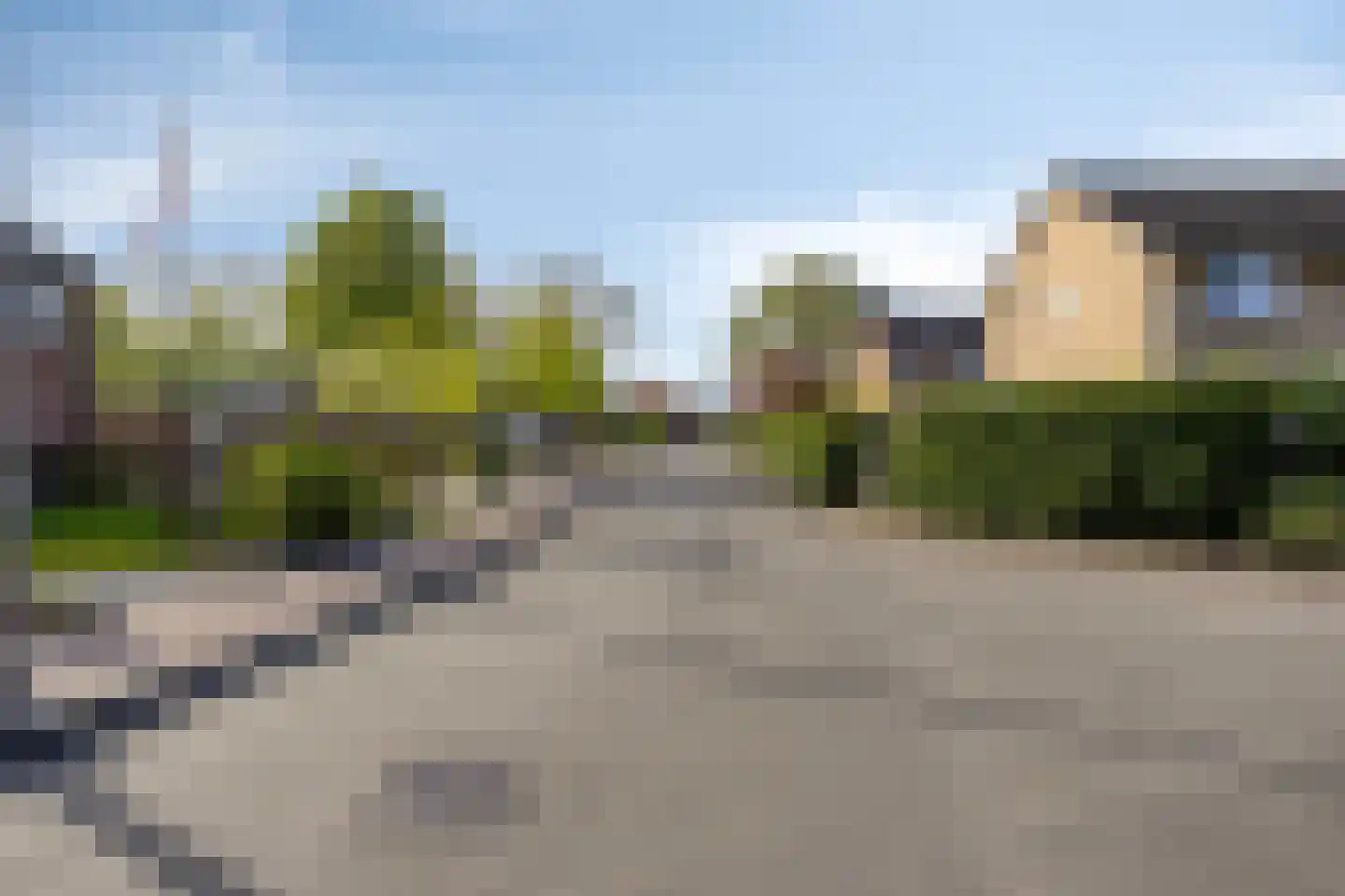 Vogelwikke 2 Emmen thumbnail 45