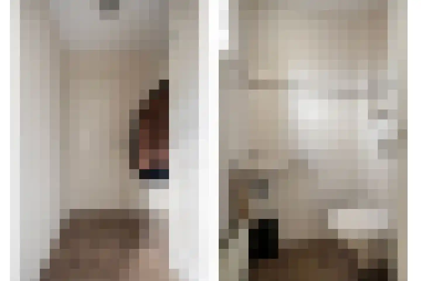 Vogelwikke 2 Emmen thumbnail 7