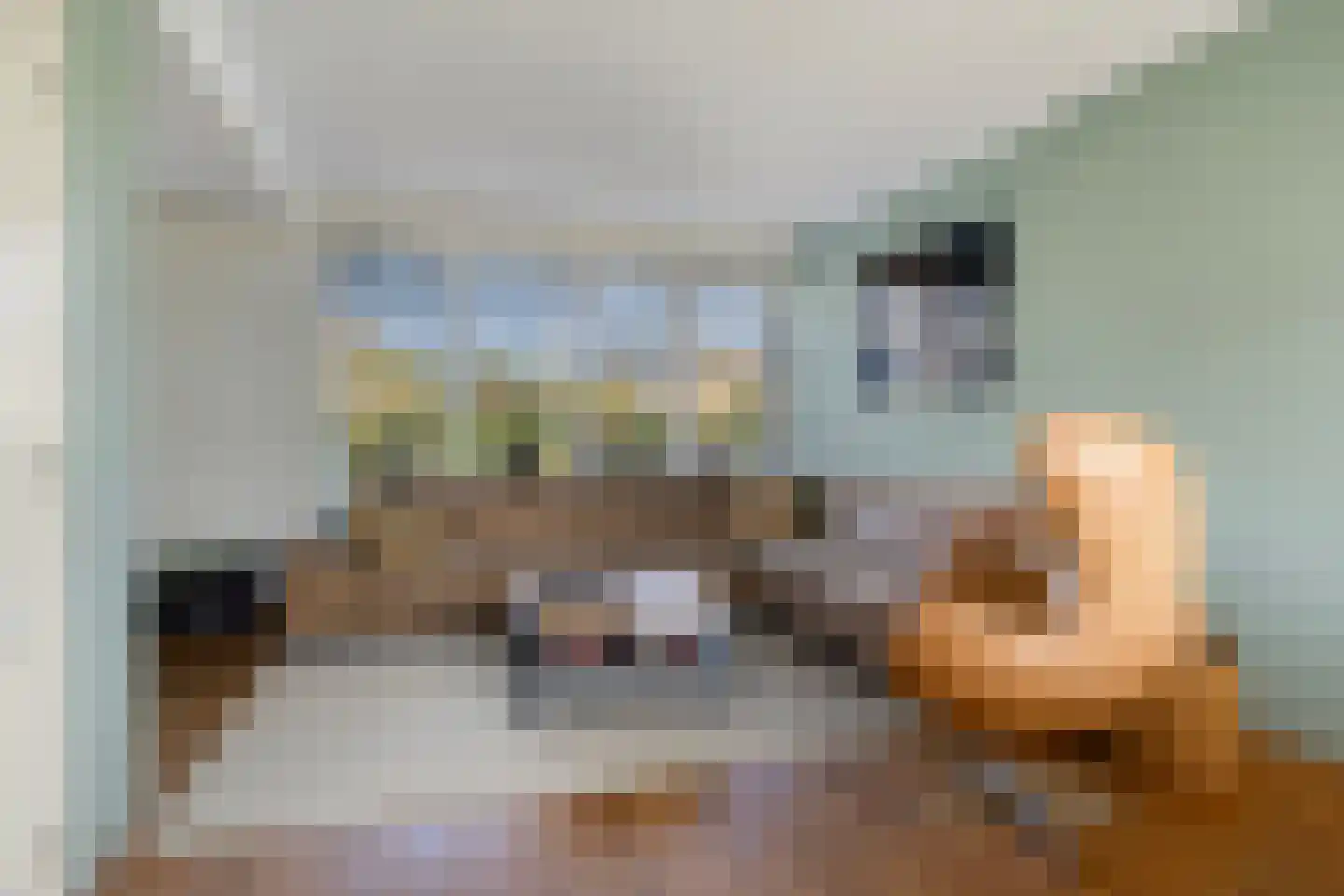 Vogelwikke 2 Emmen thumbnail 8