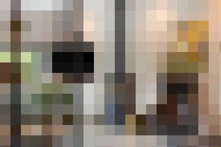 Vogelwikke 20 Lochem thumbnail 11