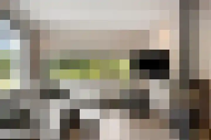Vogelwikke 20 Lochem thumbnail 12