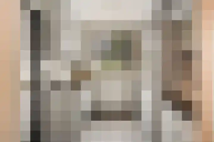 Vogelwikke 20 Lochem thumbnail 16