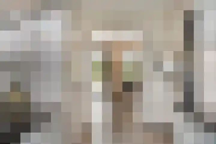 Vogelwikke 20 Lochem thumbnail 17