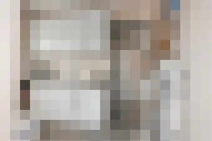 Vogelwikke 20 Lochem thumbnail 19