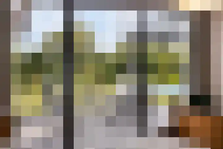 Vogelwikke 20 Lochem thumbnail 21