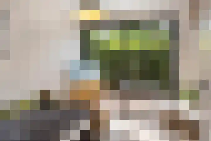 Vogelwikke 20 Lochem thumbnail 26