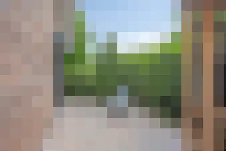 Vogelwikke 20 Lochem thumbnail 27