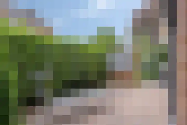 Vogelwikke 20 Lochem thumbnail 28