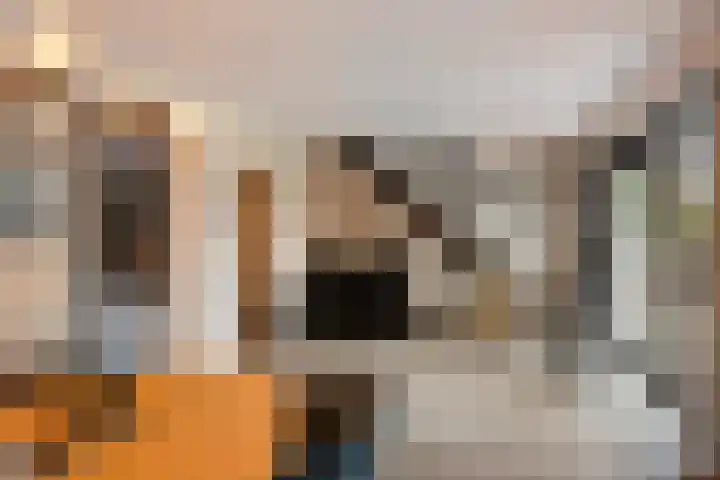 Vogelwikke 20 Lochem thumbnail 31