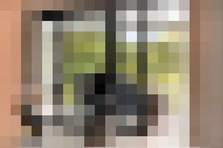 Vogelwikke 20 Lochem thumbnail 32