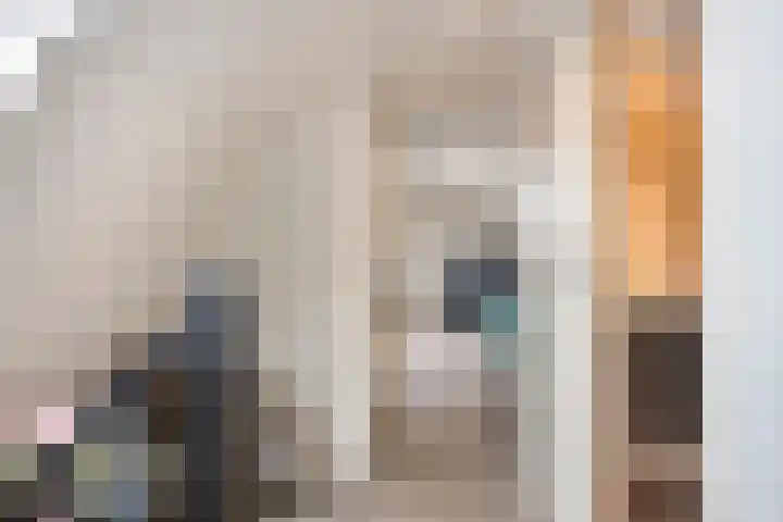 Vogelwikke 20 Lochem thumbnail 33