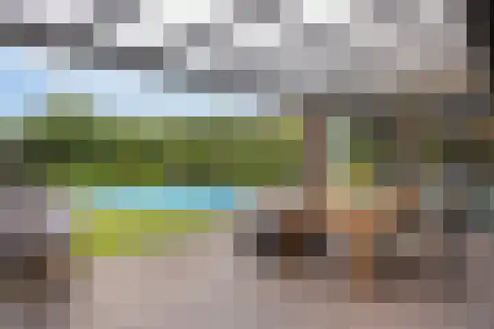 Vogelwikke 20 Lochem thumbnail 38