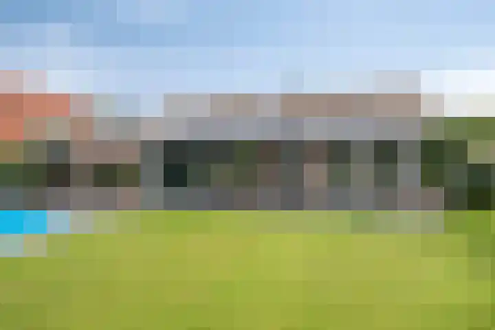 Vogelwikke 20 Lochem thumbnail 4