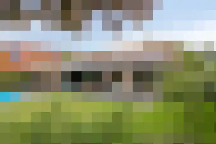 Vogelwikke 20 Lochem thumbnail 40