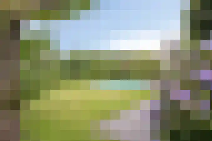 Vogelwikke 20 Lochem thumbnail 41