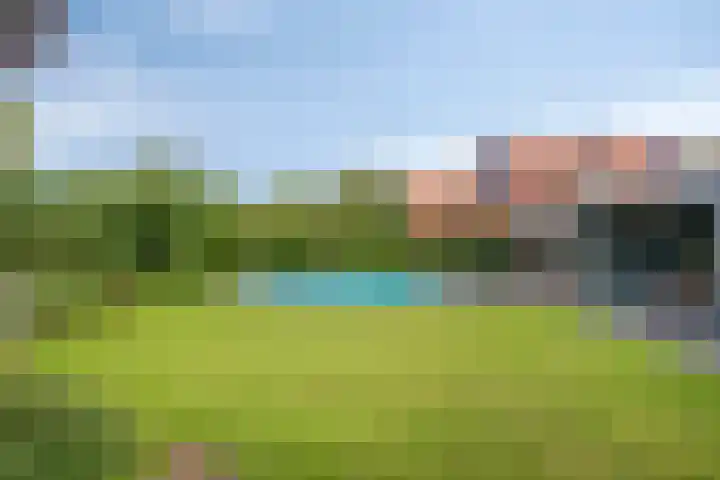 Vogelwikke 20 Lochem thumbnail 42
