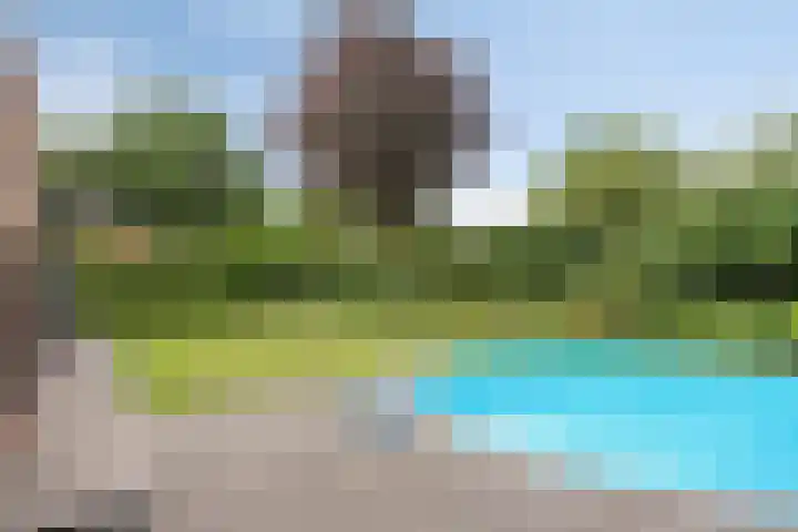 Vogelwikke 20 Lochem thumbnail 43