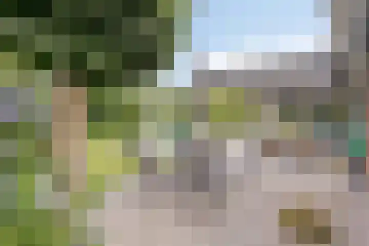 Vogelwikke 20 Lochem thumbnail 45