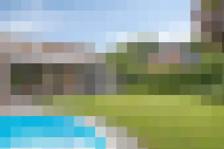 Vogelwikke 20 Lochem thumbnail 46