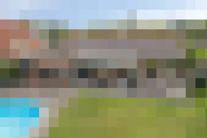 Vogelwikke 20 Lochem thumbnail 47